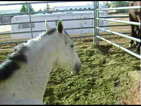 We're young enough to say..This has got to be the good life✭