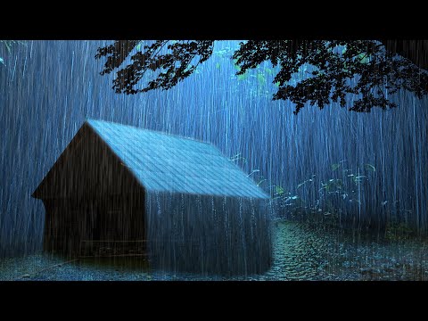 Rain Relaxing in the Foggy Forest to sleep in 3 minutes - Sounds of Rain and Thunderstorm