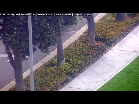 Live webcam of Disneyland Cam