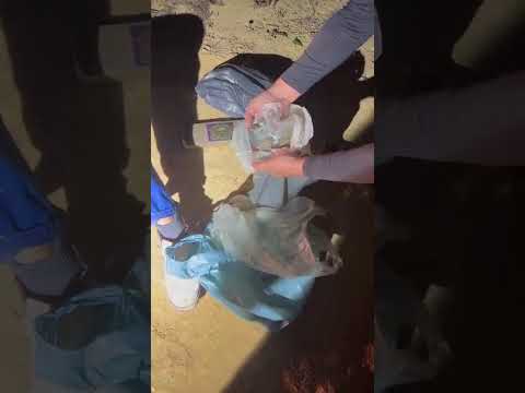 Prisões em Rio Bananal: traficantes invadem imóveis e vão parar na cadeia.