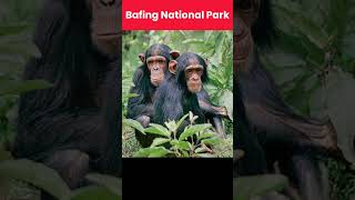 Wildlife Reserves of Mali