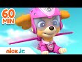PAW Patrol Skye Helicopter & Jet Pack Rescues! | 60 Minute Compilation | Nick Jr.