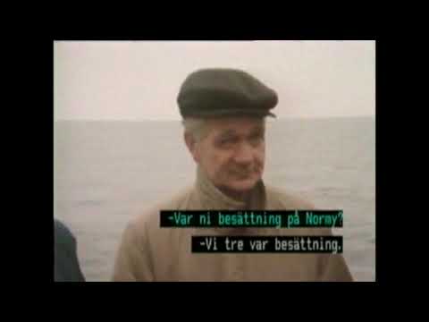 Ulvens läge fastställt