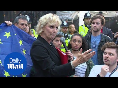 アンナ・サブリ、Brexit投票で涙をこらえようと奮闘 - Daily Mail (Anna Soubry struggles to hold back the tears over Brexit vote - Daily Mail)