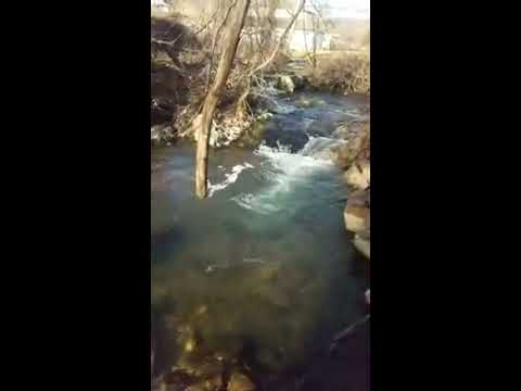 Hot springs in hot springs virginia bath house