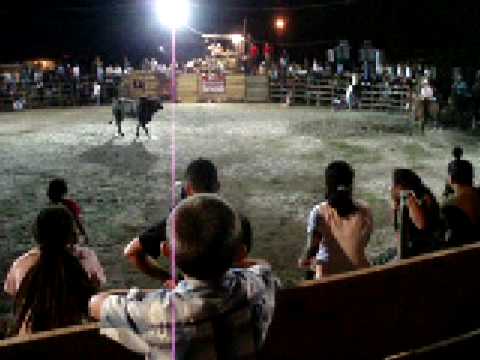 Costa Rican Bullfights 3