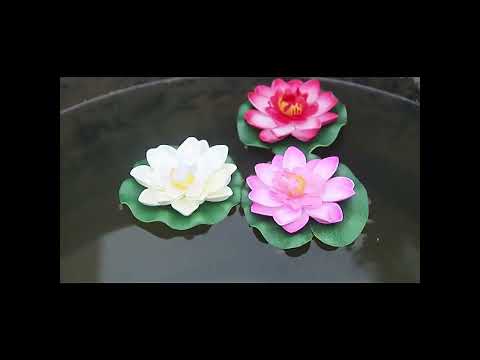 Лилии для пруда 5 штук - фото 1 - id-p1422667027