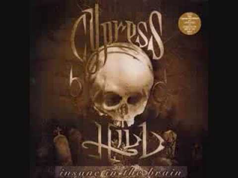 cypress hill vs jason nevins - insane in the brain (remix