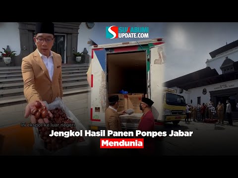 Jengkol Hasil Panen Ponpes Jabar Mendunia