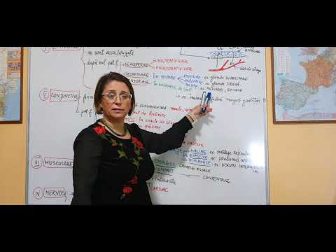 Animal tissue review