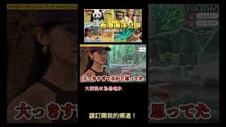 我哋撞到一條巨型海蛇 #香港 #海洋公園