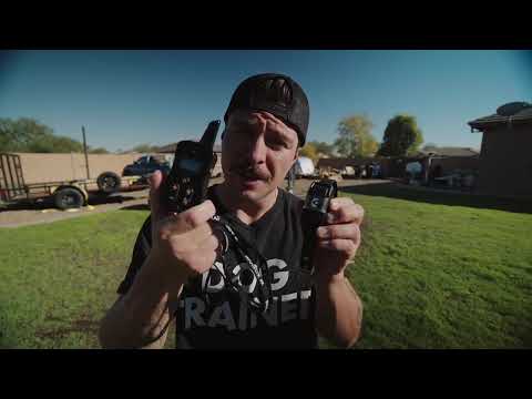 Invirox GPS Wireless Dog Fence: The Complete Guide to Easy Setup and Ensuring Your Pet's Safety