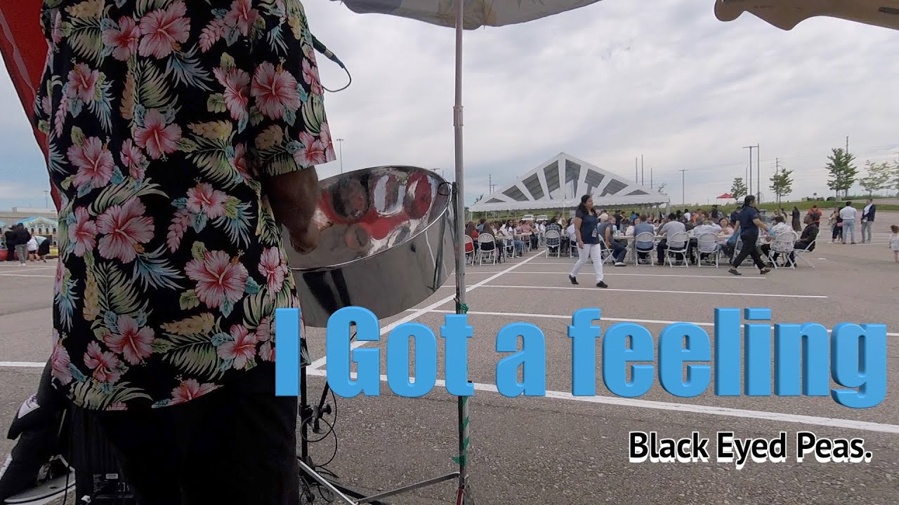 Hire Steeldrum Hu Steel Drum Player in Barrie, Ontario