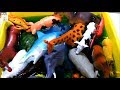 Learn Sea Animals Farm Animals Wild Zoo Animals Names English Korean 바다동물 농장동물 동�