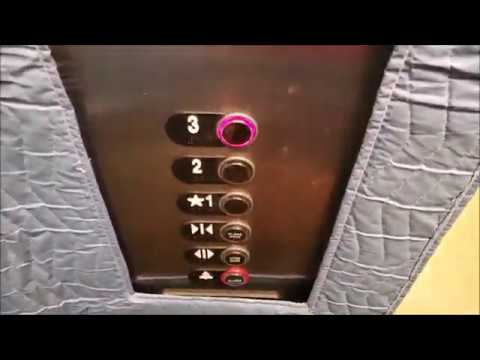 ThyssenKrupp Aurora Hydraulic Elevator - USF Sarasota-Manatee - Sarasota, FL