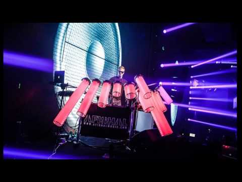 Feel Your Love vs Gold Skies - AFISHAL (TiMOiD Edit)