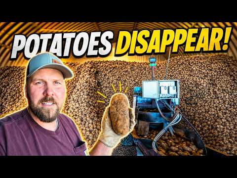 We Are Now Shipping Millions of Pounds of Idaho Potatoes!