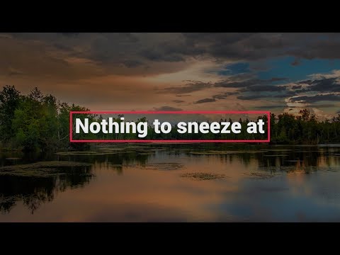 BIA's Idiom of the Day - Nothing to sneeze at