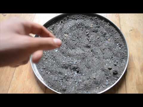 Historical recipe for leather armor with fylyne of yrene. Test 1.