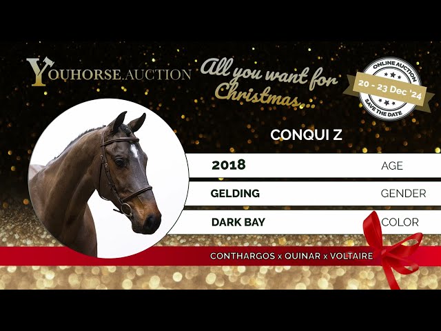 Conqui Z