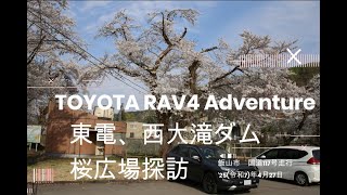 信州、飯山市国道117号線、東電、桜広場　トヨタ・RAV4 Adventure