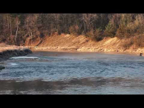 7. Princesa Janaína - O Justiceiro - Padrinho Sebastião