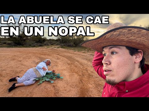 Cayó Sobre Un Nopal Y Gritaba De Dolor!