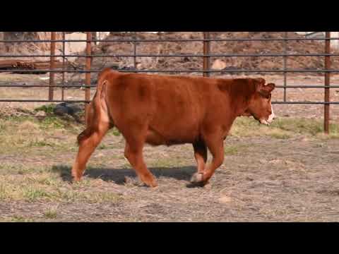 Listing 31771641390-video