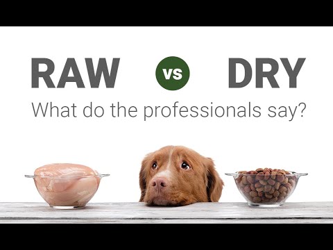 Raw Dog Food vs Dry Kibbles - A world renowned veterinarian tells us what he discovered.
