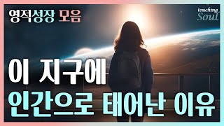 Download lagu 나는 왜 태어나서 이렇게 살고 있는 것일까? 내 영혼은 모든 걸 계획했다 |영적성장 모음| 광고없음 mp3
