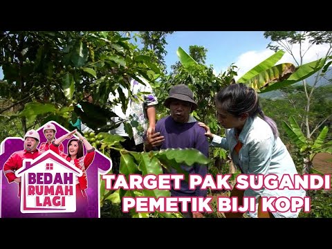 Target Pak Sugandi Pemetik Biji Kopi - Bedah Rumah Lagi