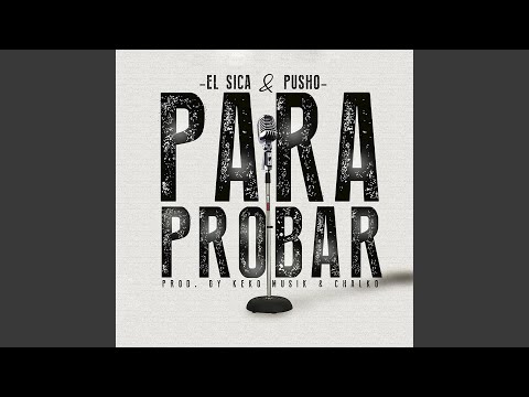 Para Probar