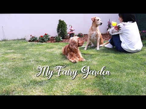 , title : 'Making a fairy garden in the small yard of the house / Craft with me and My first gardening Vlog'