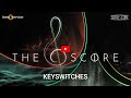 Video 4: Keyswitches