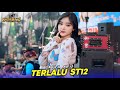 TERLALU ST12 LAILA AYU SIMPATIK MUSIC