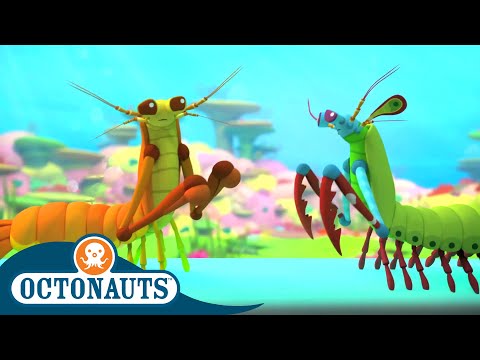Octonauts - The Mantis Shrimp | Cartoons for Kids | Underwater Sea Education