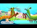 Octonauts The Mantis Shrimp Cartoons For Kids Underwater Sea Education