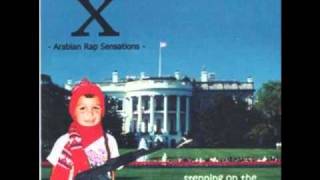 Group X - Mario Twins Album Version