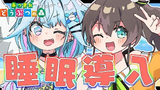 水宮枢 - 【あつ森】まつり先輩とゆるゆる睡眠導入【水宮枢／FLOW GLOW】#hololiveDEV IS