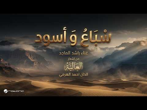 سباع واسود راشد الماجد