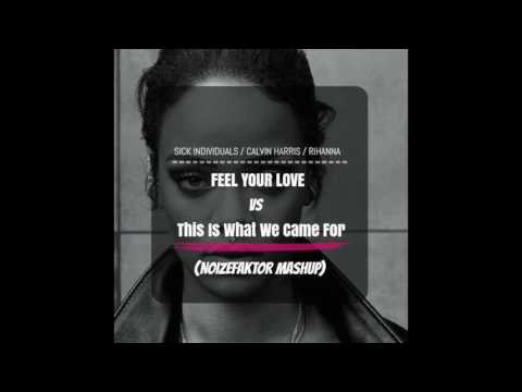 Calvin Harris & Sick Individuals - This Is What You Came For vs Feel Your Love (NoizeFaktor Mashup)
