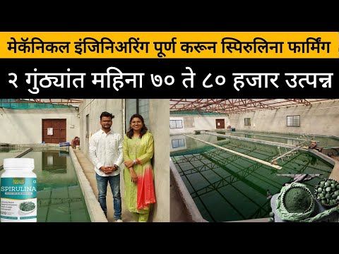 Green spirulina powder, 25 kg