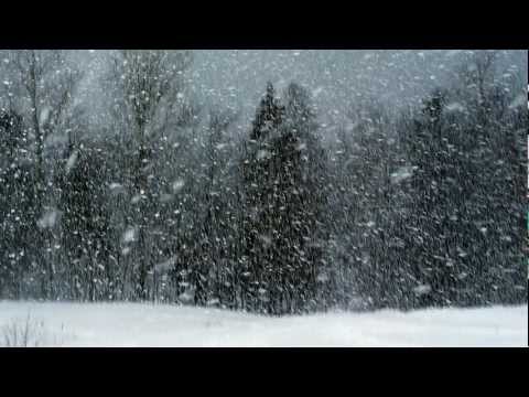 Kvartet Melos - Negdje