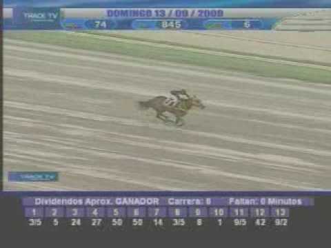 Resumen 13 de Septiembre 2009 - La Rinconada