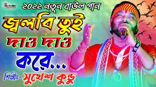 Download lagu জ্বলবি তুই দাউ দাউ করে !! Jolbi Tui Dau Dau Kore !! Singer- Sukesh Kundu !! Ma Studio Stage Program mp3