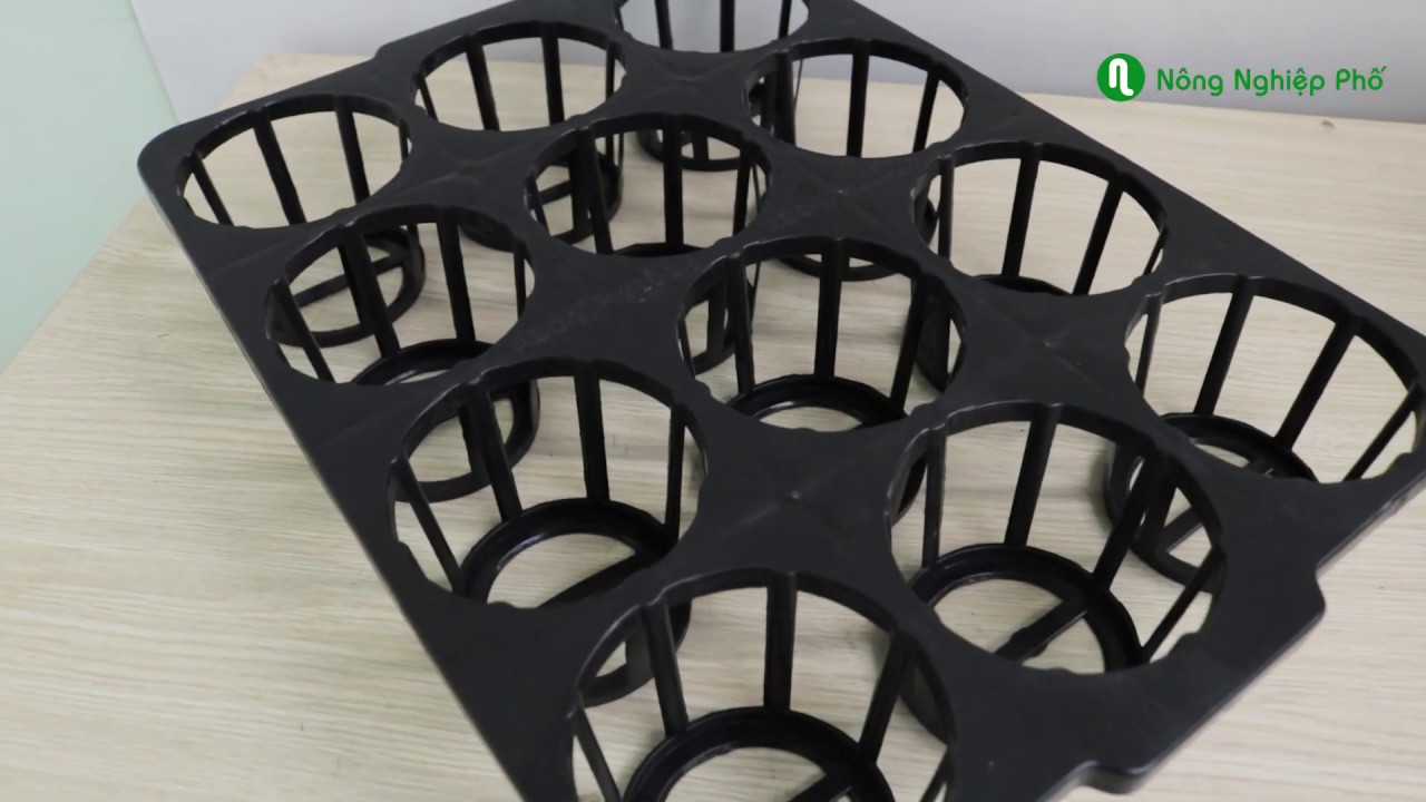 - Khay nhựa đựng lan hồ điệp loại 3.5 inch ( 12 Lỗ )