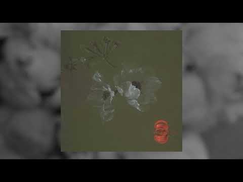 Tenielle Neda - Call to Perseverance