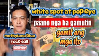 white spot at pop eye sa isda, paano gamutin
