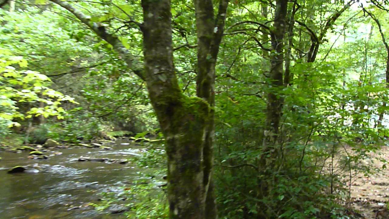 Clearwater Campground Video