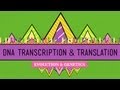DNA Hot Pockets The Longest Word Ever Crash Course Biology 11